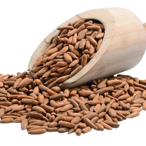 Pine Nuts - Chilghoza (Afghani)