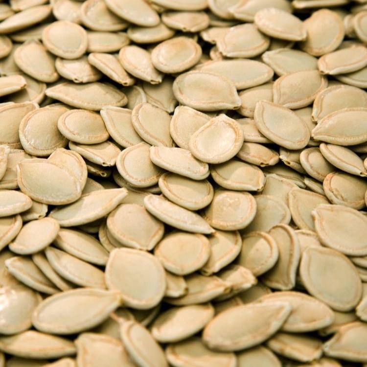 Pumpkin Seeds (Roasted - Salted)